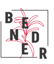 Logo img